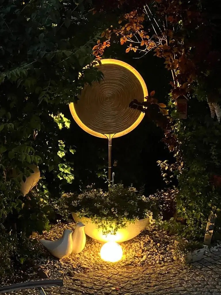 Beleuchtete Edelblüte in Gold, freistehend in einem Gartenbeet bei Nacht